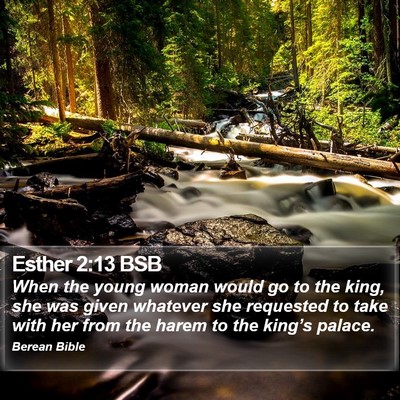 Esther 2:13 BSB Bible Verse Image