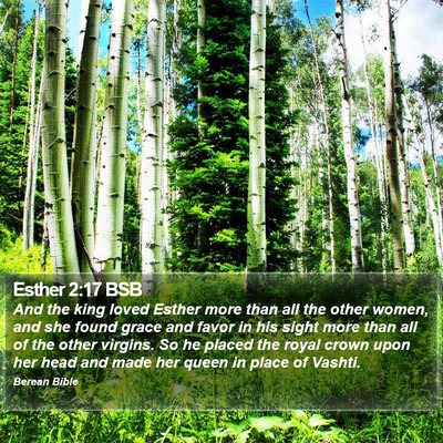 Esther 2:17 BSB Bible Verse Image