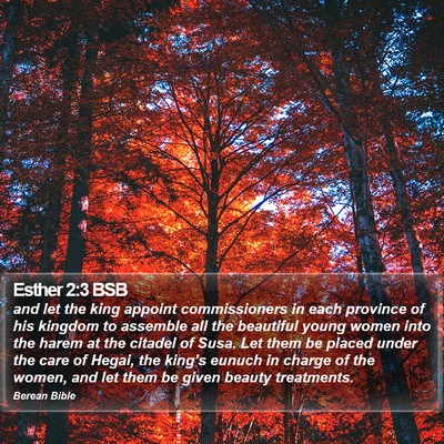 Esther 2:3 BSB Bible Verse Image