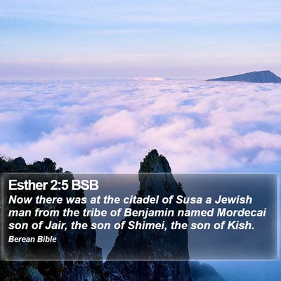 Esther 2:5 BSB Bible Verse Image