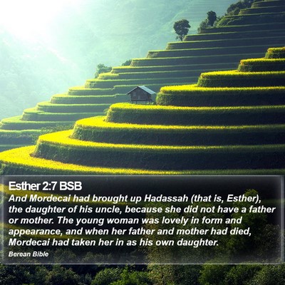 Esther 2:7 BSB Bible Verse Image