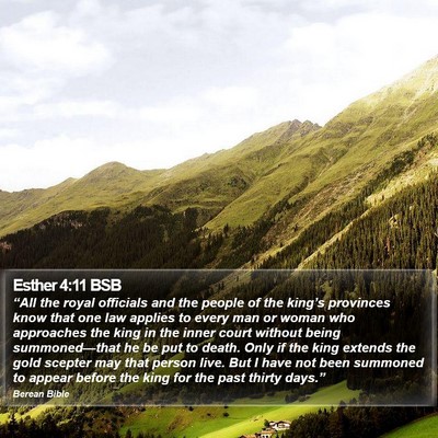 Esther 4:11 BSB Bible Verse Image