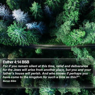 Esther 4:14 BSB Bible Verse Image