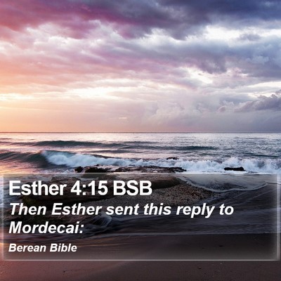 Esther 4:15 BSB Bible Verse Image
