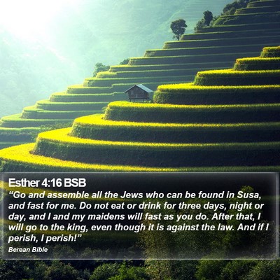 Esther 4:16 BSB Bible Verse Image