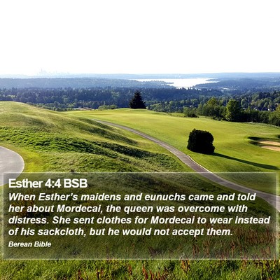 Esther 4:4 BSB Bible Verse Image
