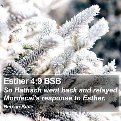 Esther 4:9 BSB Bible Verse Image