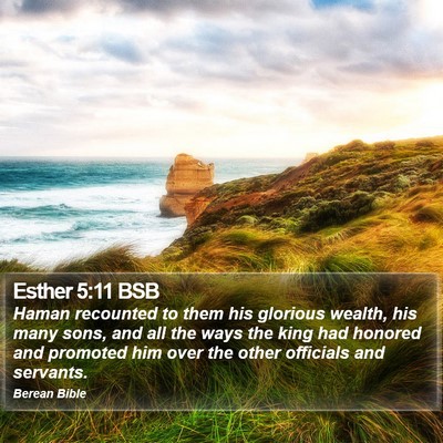 Esther 5:11 BSB Bible Verse Image