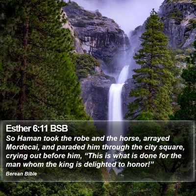 Esther 6:11 BSB Bible Verse Image