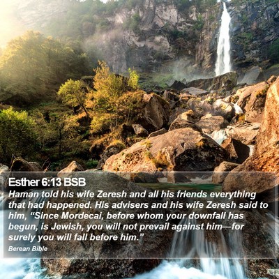 Esther 6:13 BSB Bible Verse Image