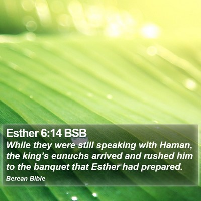 Esther 6:14 BSB Bible Verse Image
