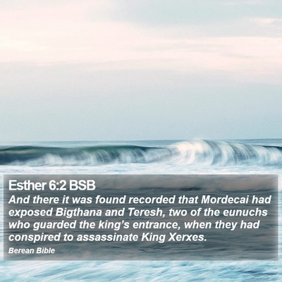 Esther 6:2 BSB Bible Verse Image