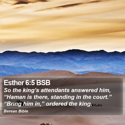 Esther 6:5 BSB Bible Verse Image