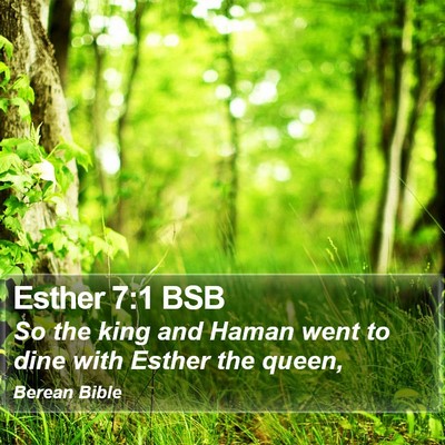 Esther 7:1 BSB Bible Verse Image