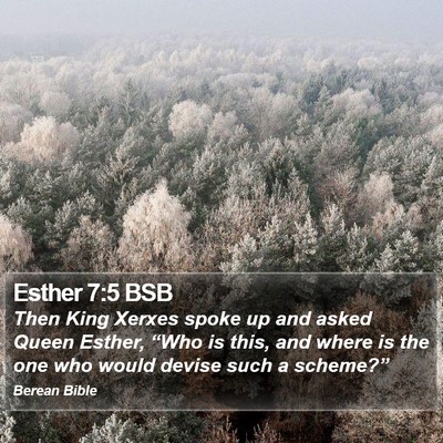 Esther 7:5 BSB Bible Verse Image