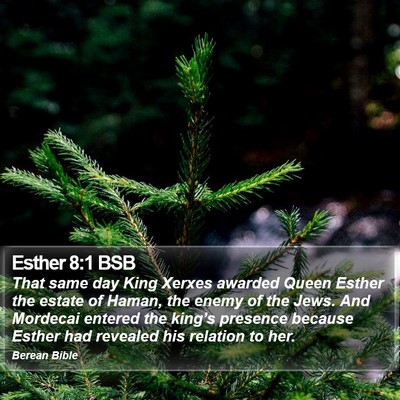Esther 8:1 BSB Bible Verse Image