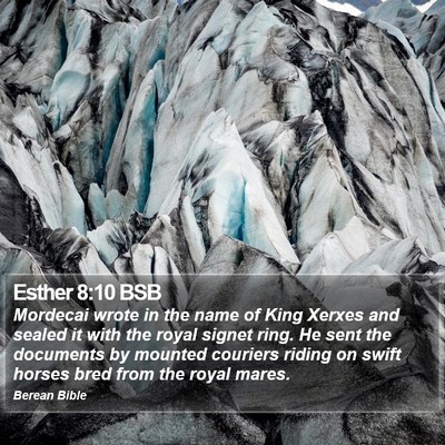 Esther 8:10 BSB Bible Verse Image