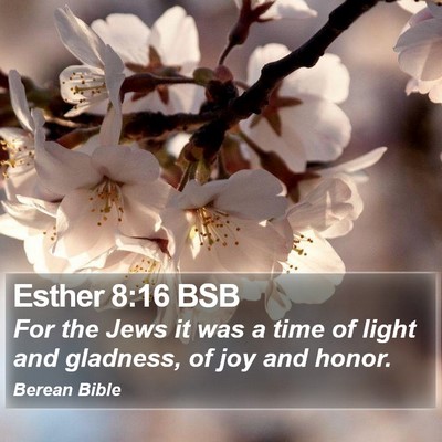 Esther 8:16 BSB Bible Verse Image