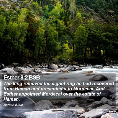 Esther 8:2 BSB Bible Verse Image