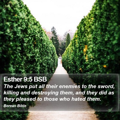 Esther 9:5 BSB Bible Verse Image