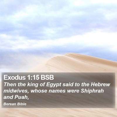 Exodus 1:15 BSB Bible Verse Image