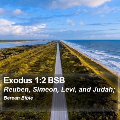 Exodus 1:2 BSB Bible Verse Image