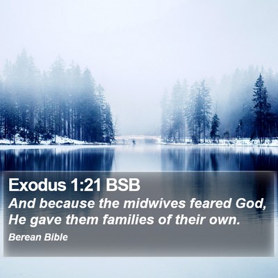 Exodus 1:21 BSB Bible Verse Image