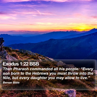 Exodus 1:22 BSB Bible Verse Image