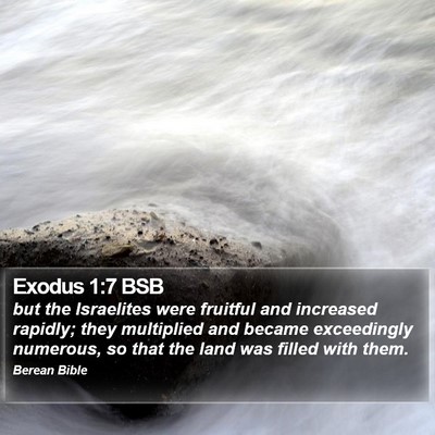 Exodus 1:7 BSB Bible Verse Image