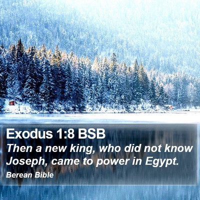 Exodus 1:8 BSB Bible Verse Image