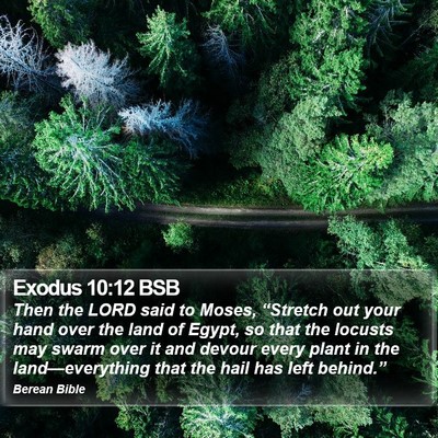 Exodus 10:12 BSB Bible Verse Image