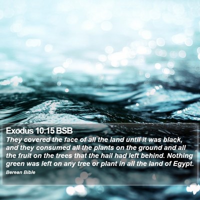 Exodus 10:15 BSB Bible Verse Image