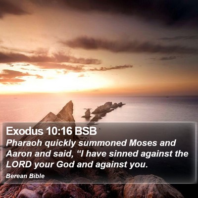Exodus 10:16 BSB Bible Verse Image