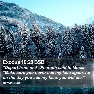 Exodus 10:28 BSB Bible Verse Image