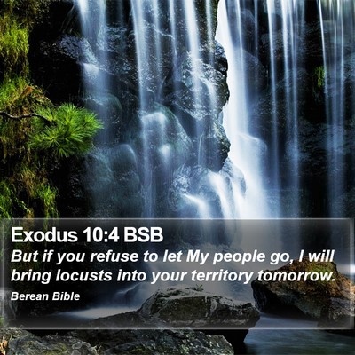 Exodus 10:4 BSB Bible Verse Image