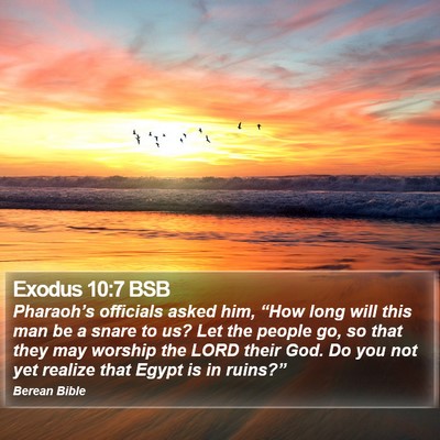 Exodus 10:7 BSB Bible Verse Image