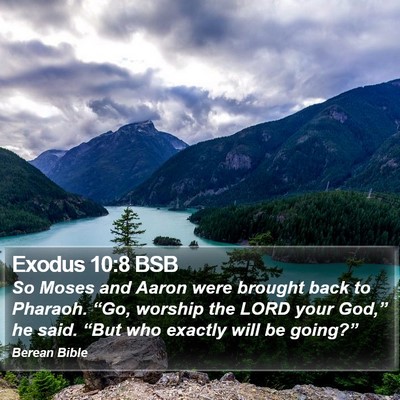 Exodus 10:8 BSB Bible Verse Image