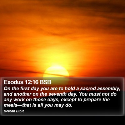 Exodus 12:16 BSB Bible Verse Image