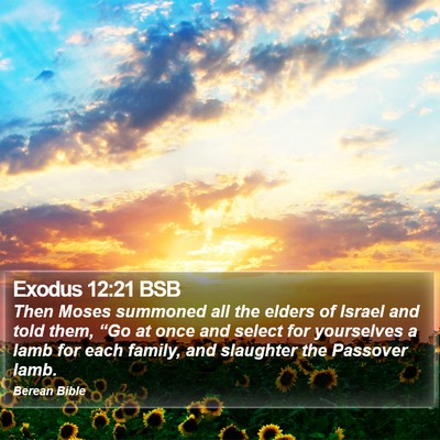 Exodus 12:21 BSB Bible Verse Image