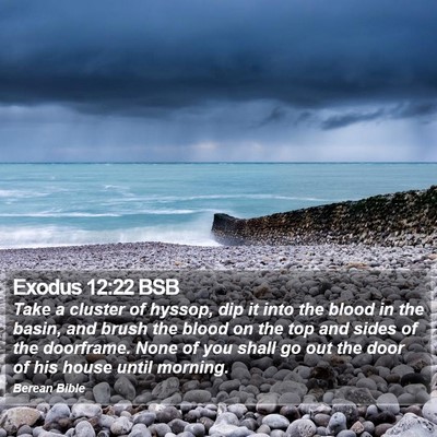 Exodus 12:22 BSB Bible Verse Image