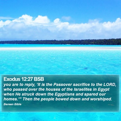 Exodus 12:27 BSB Bible Verse Image