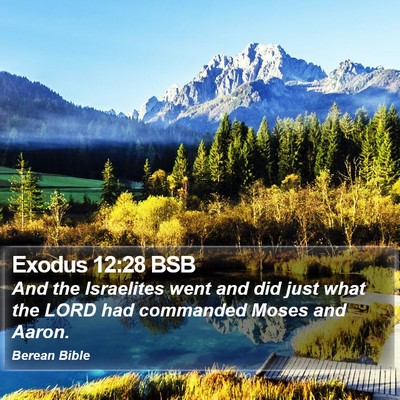 Exodus 12:28 BSB Bible Verse Image