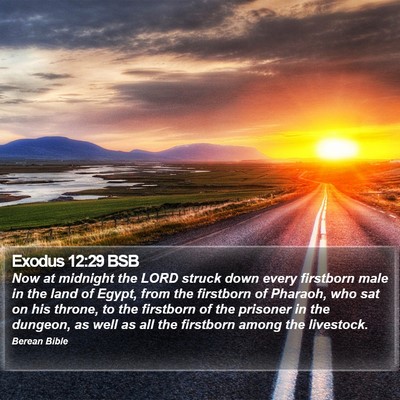 Exodus 12:29 BSB Bible Verse Image