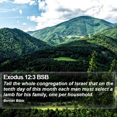 Exodus 12:3 BSB Bible Verse Image