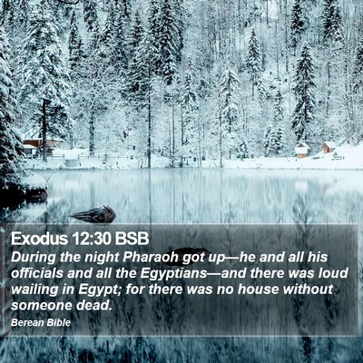 Exodus 12:30 BSB Bible Verse Image