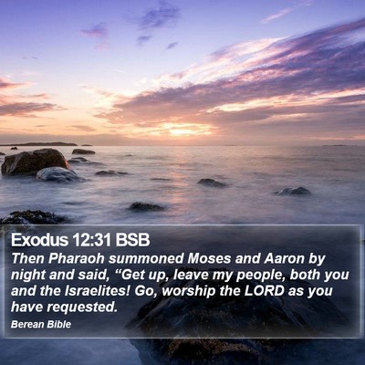 Exodus 12:31 BSB Bible Verse Image