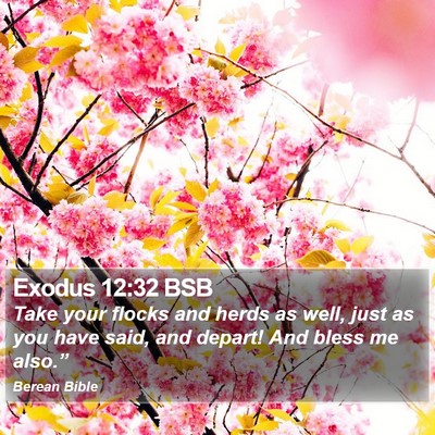 Exodus 12:32 BSB Bible Verse Image