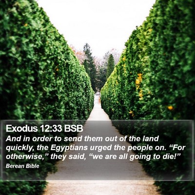 Exodus 12:33 BSB Bible Verse Image