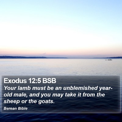Exodus 12:5 BSB Bible Verse Image