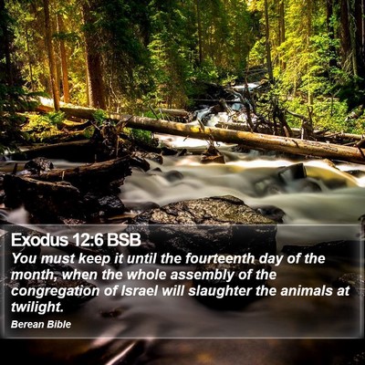 Exodus 12:6 BSB Bible Verse Image